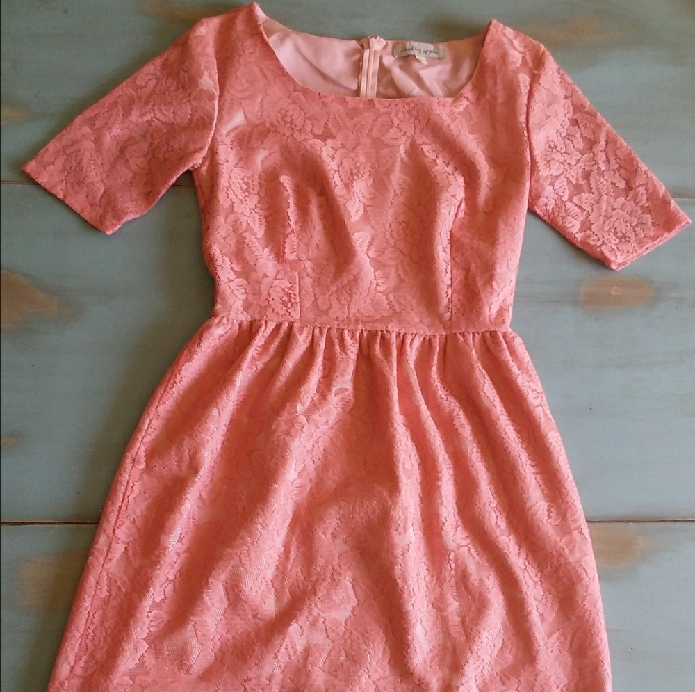 Shabby Apple Pink Lace Dress
